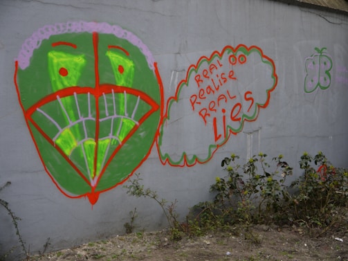 A graffiti art piece on a gray wall featuring a large, stylized green face with a red outline. The eyes and mouth are highlighted in bright green and red. To the right, a thought bubble containing the phrase 'real eyes realize real lies' in red and orange lettering. Nearby, there is a small butterfly shape outlined in green. In front of the wall, some plants are growing in the soil.