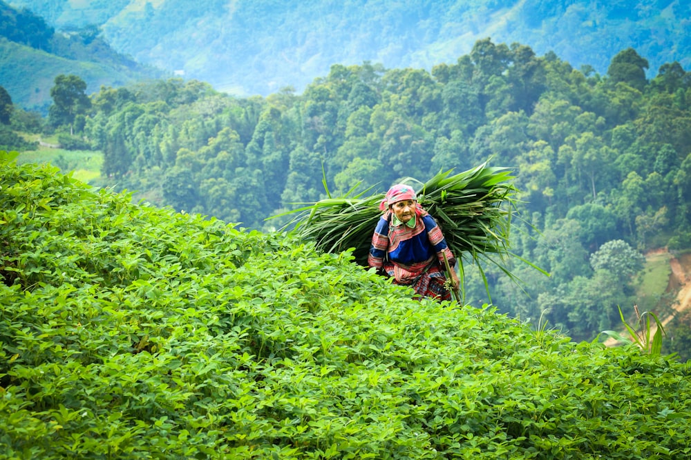 walking woman carrying vegetable on her back