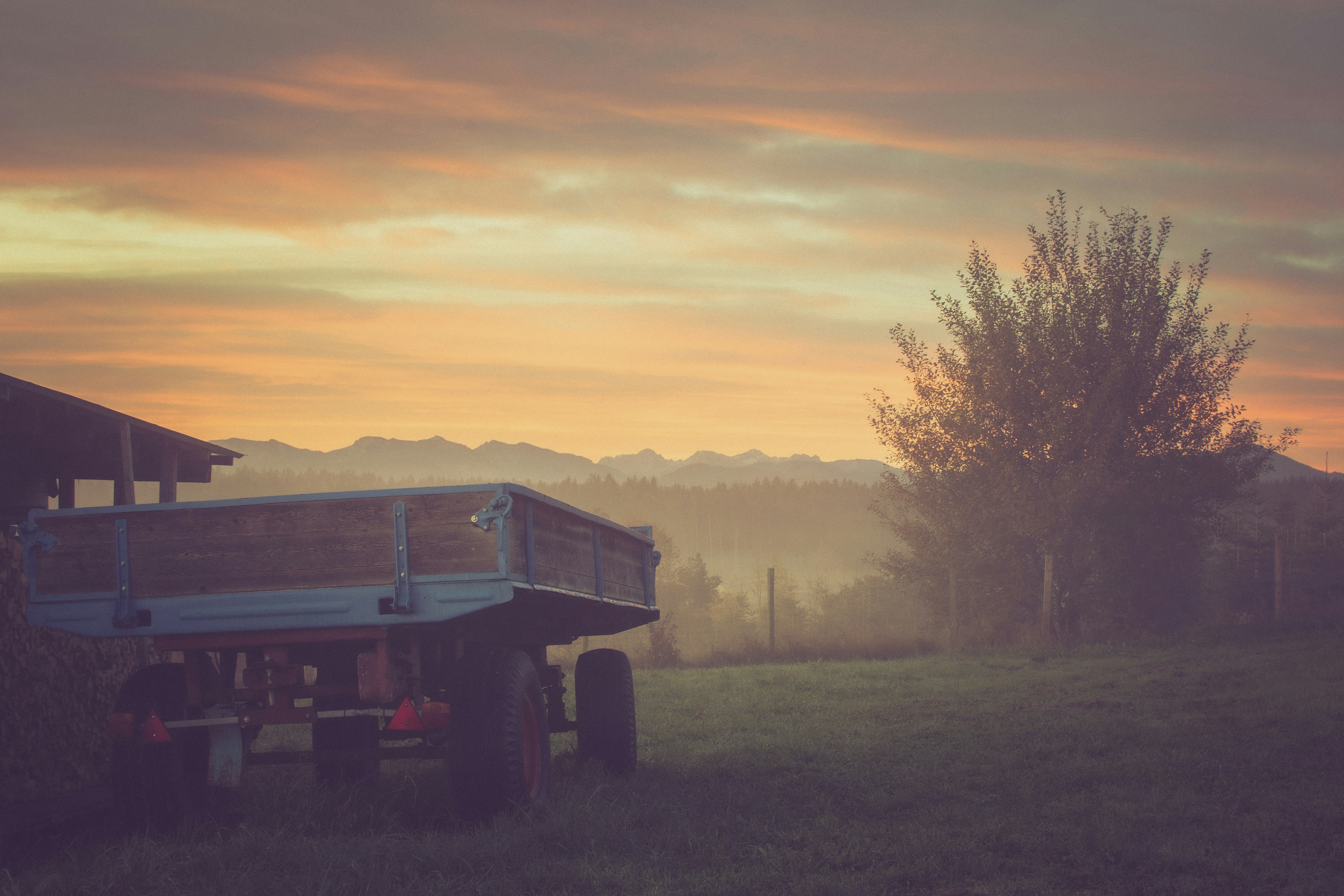 Photo by hermelinchen