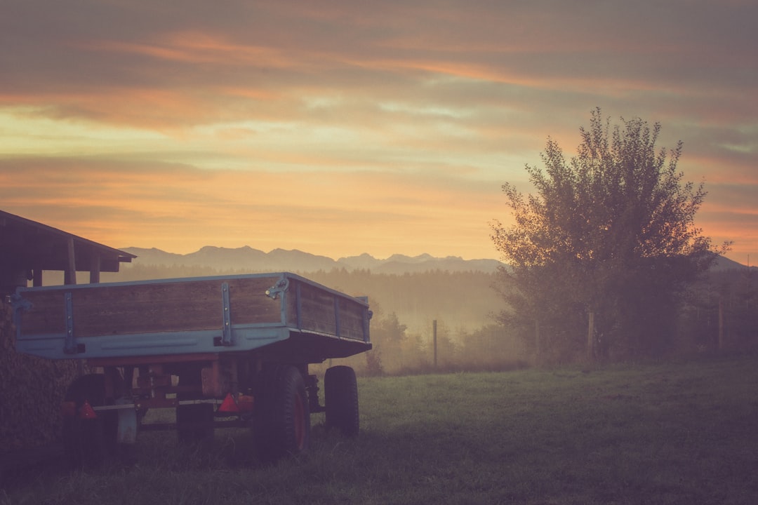 blue and gray utility truck on green field