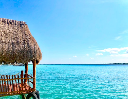 thatch hut above the sea during day in Bacalar Mexico