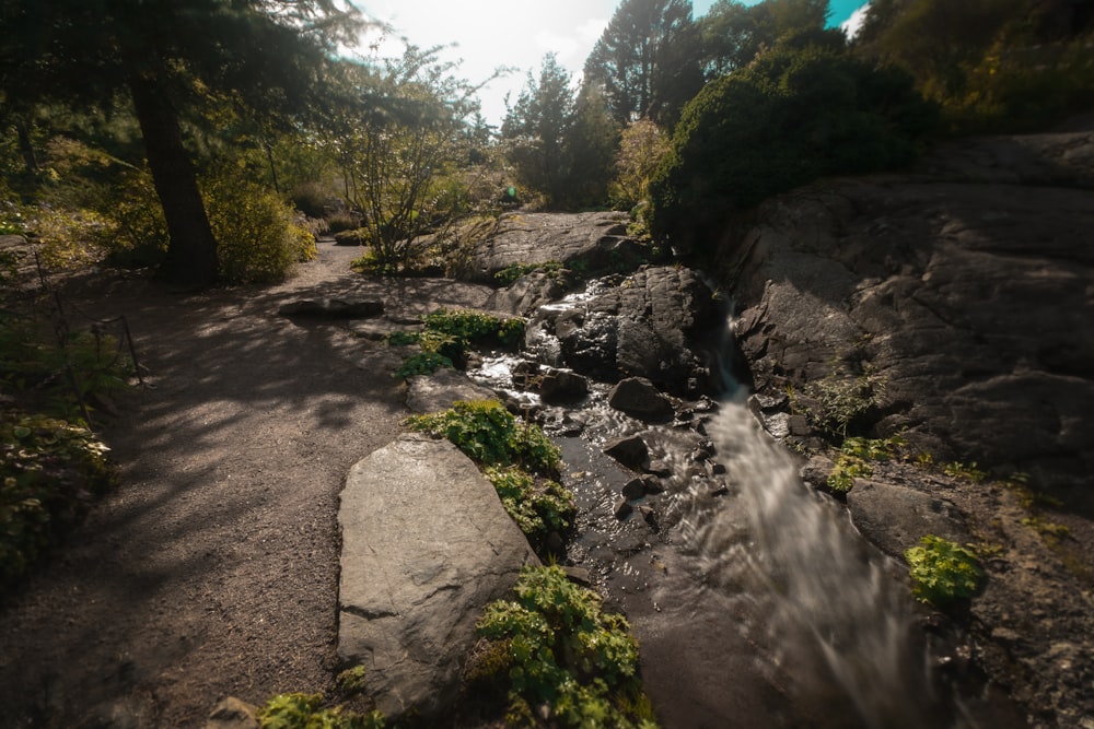 flowing river near rock formations surrounded with green trees during daytime