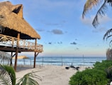 A rustic wooden hut with a thatched roof is situated on a sandy beach. Palm trees frame the view, and the calm ocean stretches to the horizon under a mostly clear blue sky with a few scattered clouds.