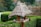 Close-up image of a wooden bird feeder surrounded by blooming flowers and buzzing bees near a raised garden bed.