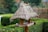 Close-up image of a wooden bird feeder surrounded by blooming flowers and buzzing bees near a raised garden bed.
