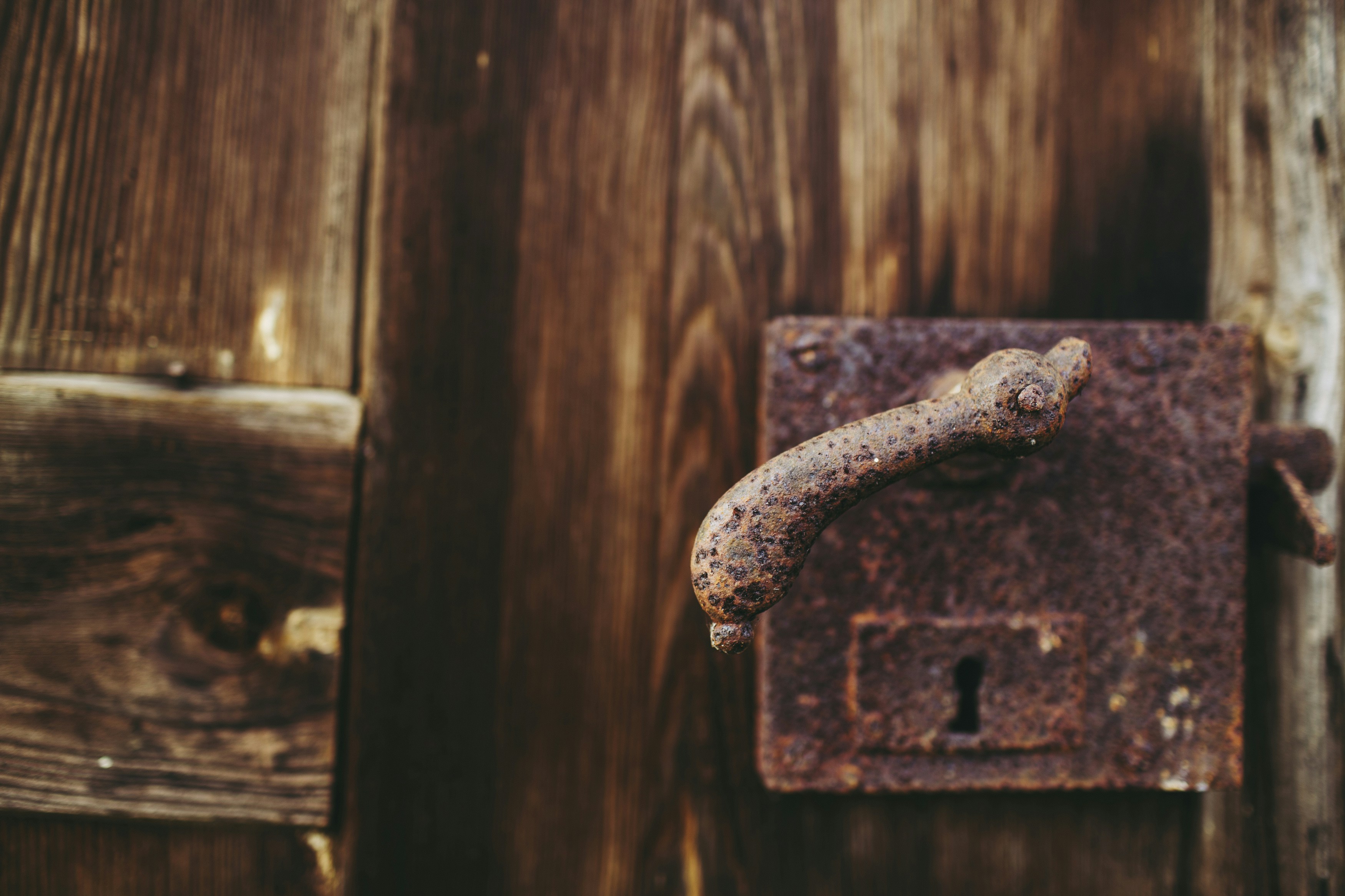 Photo by markusspiske