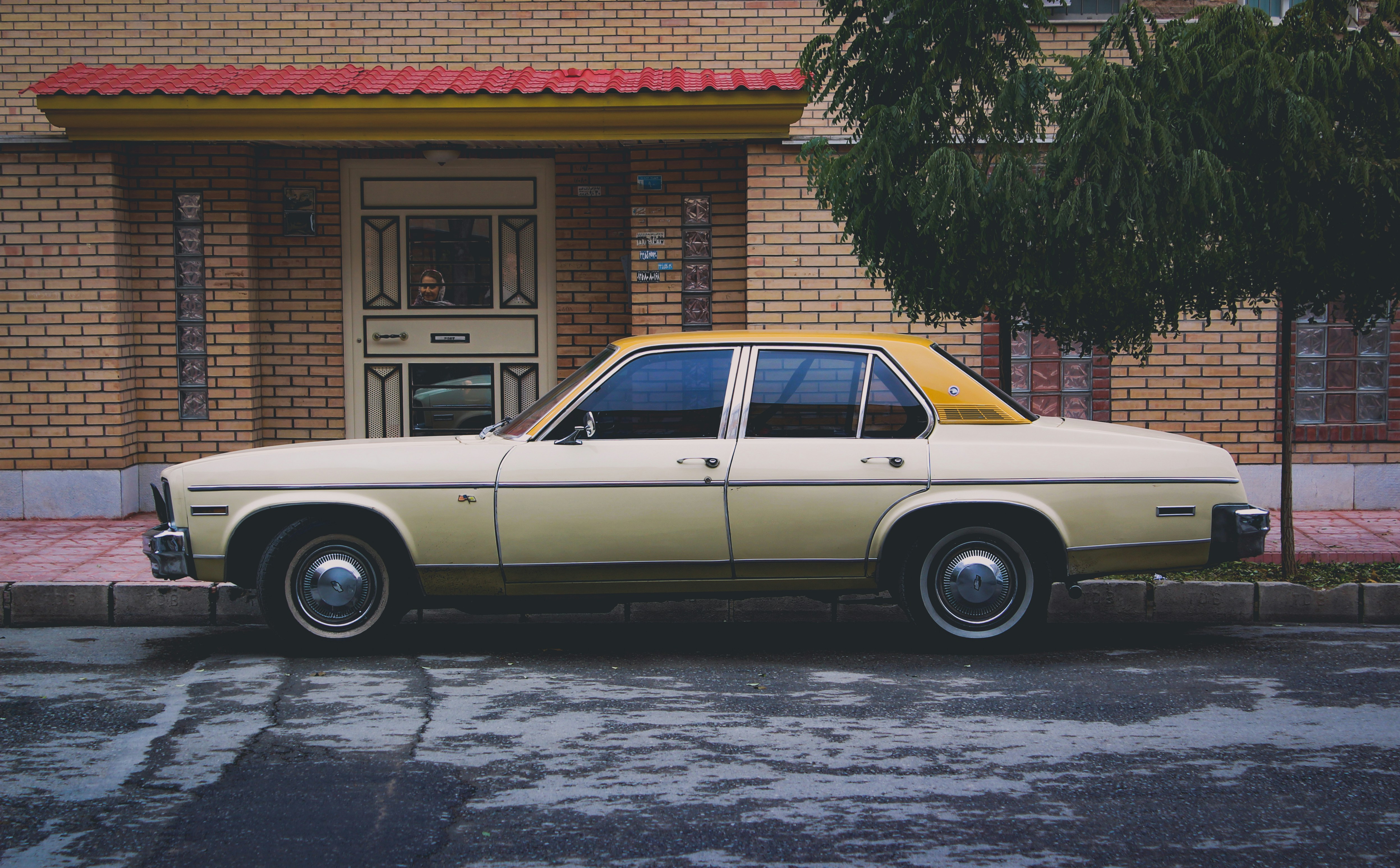 Photo by nasimkeshmiri