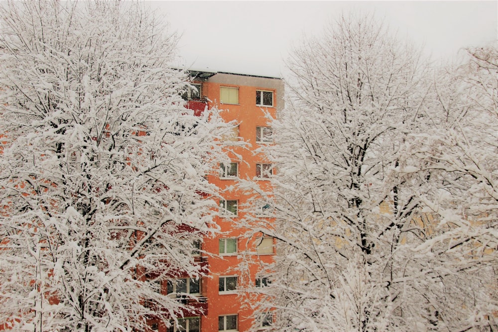 orangefarbenes Betongebäude in der Nähe von Bäumen, die von weißem Schnee bedeckt sind