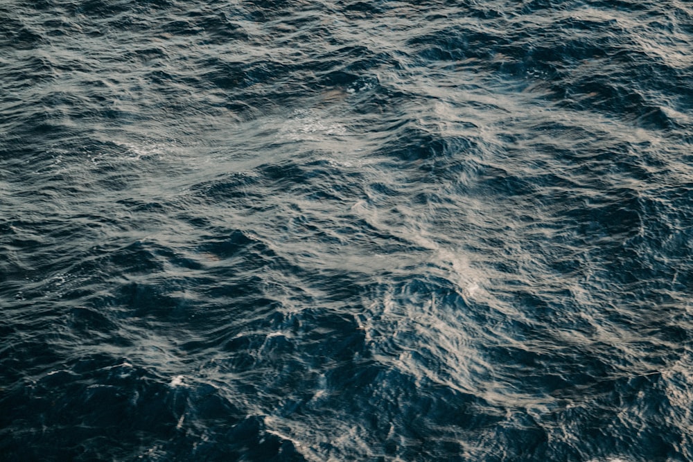 view photography of ocean