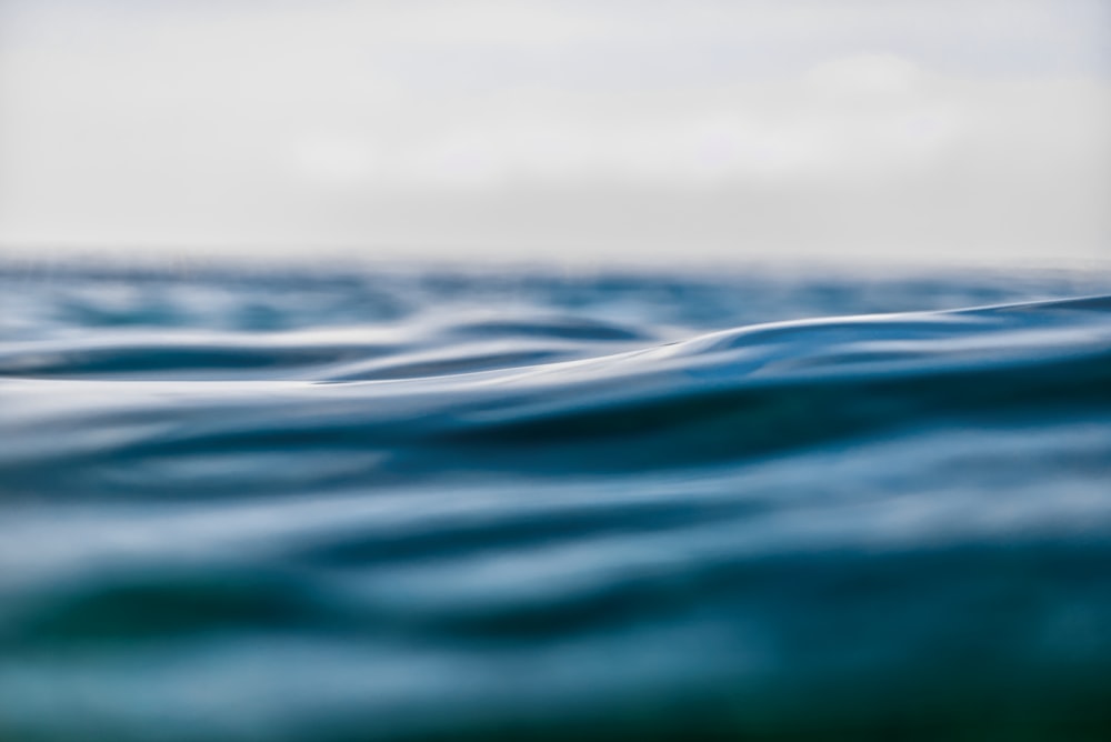 closeup photography of blue water