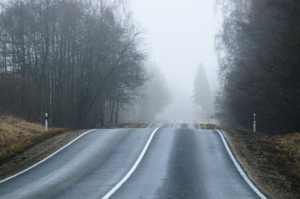 empty foggy road