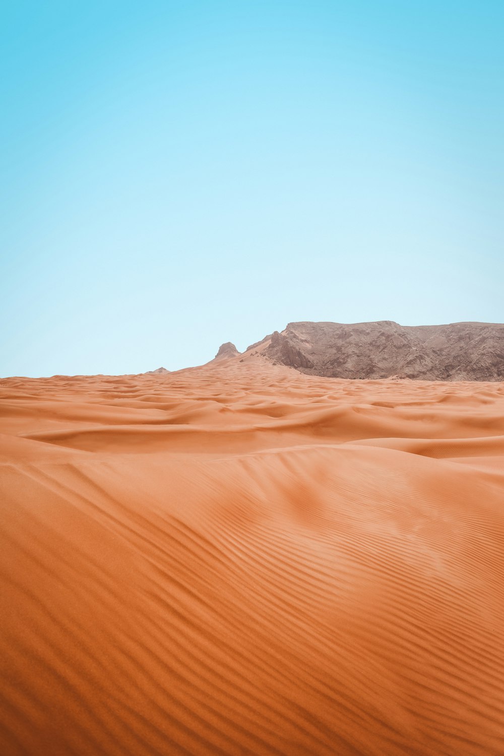 landscape photography of desert