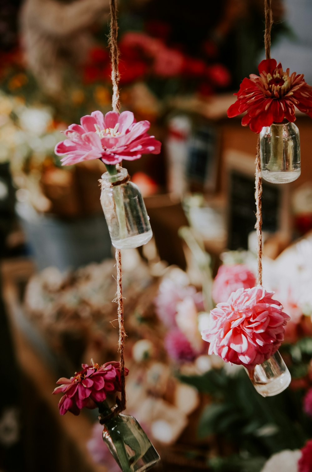 assorted-color hanging petaled-flower decors
