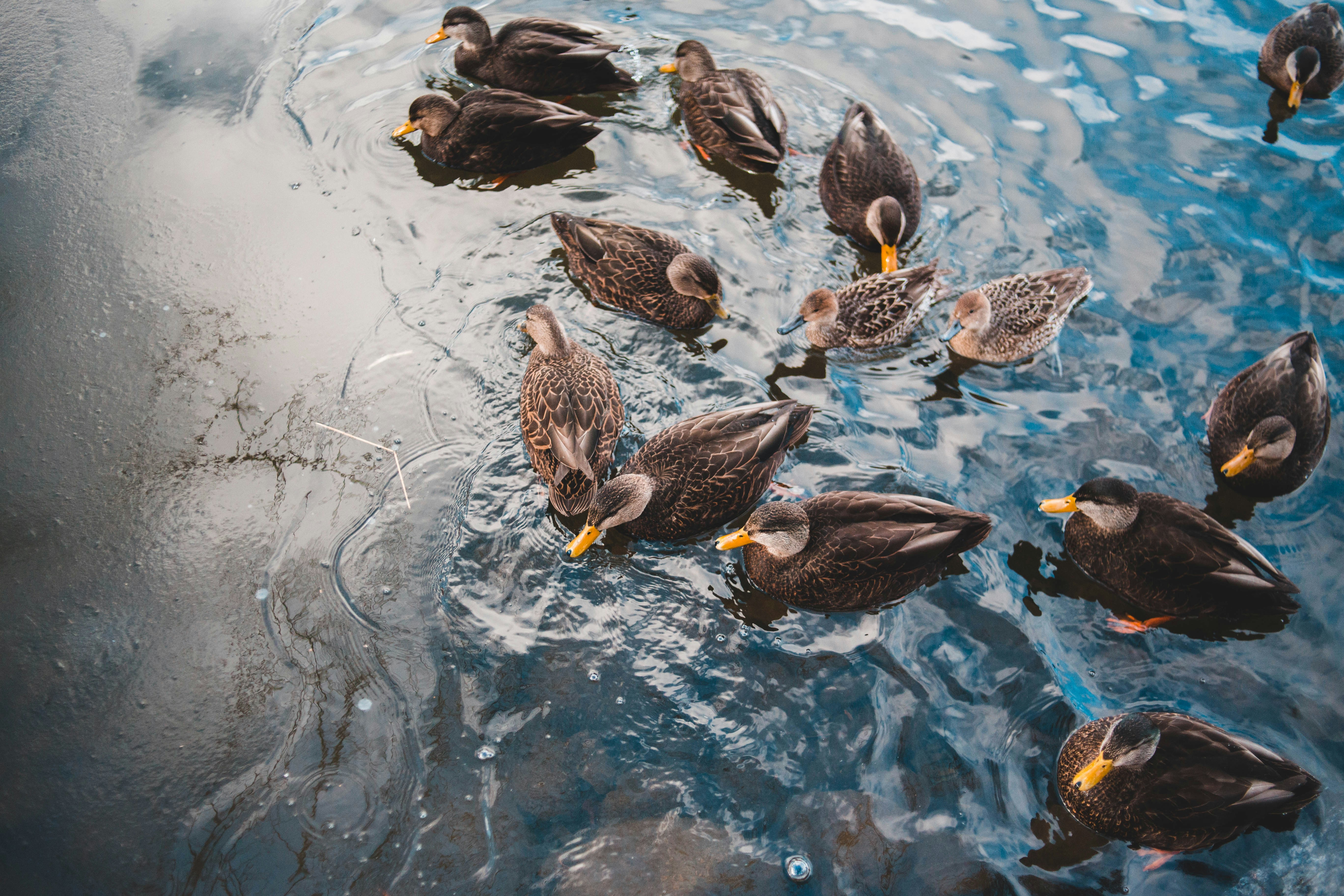 Photo by introspectivedsgn