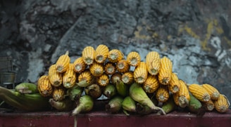 A stack of harvested corn cobs arranged in a row, with yellow kernels and some remaining green husks. The background is a textured grey surface, providing a rustic and earthy setting.