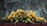 A stack of harvested corn cobs arranged in a row, with yellow kernels and some remaining green husks. The background is a textured grey surface, providing a rustic and earthy setting.