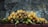 A stack of harvested corn cobs arranged in a row, with yellow kernels and some remaining green husks. The background is a textured grey surface, providing a rustic and earthy setting.