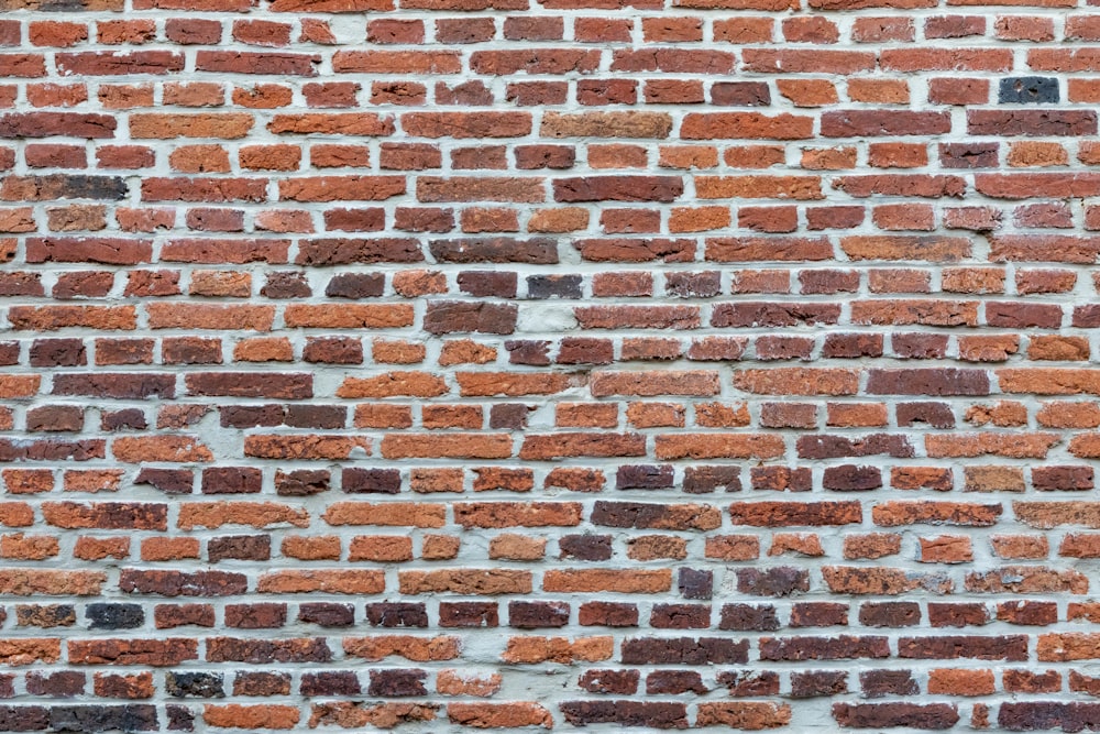 muro di mattoni in cemento marrone