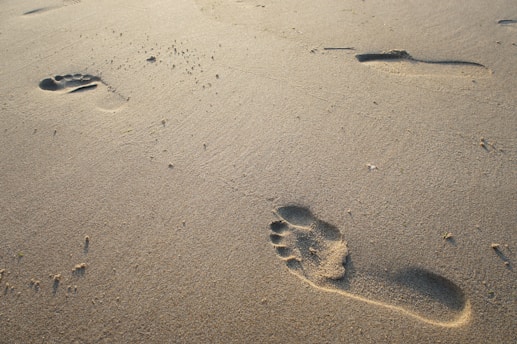 footprints on brown sand