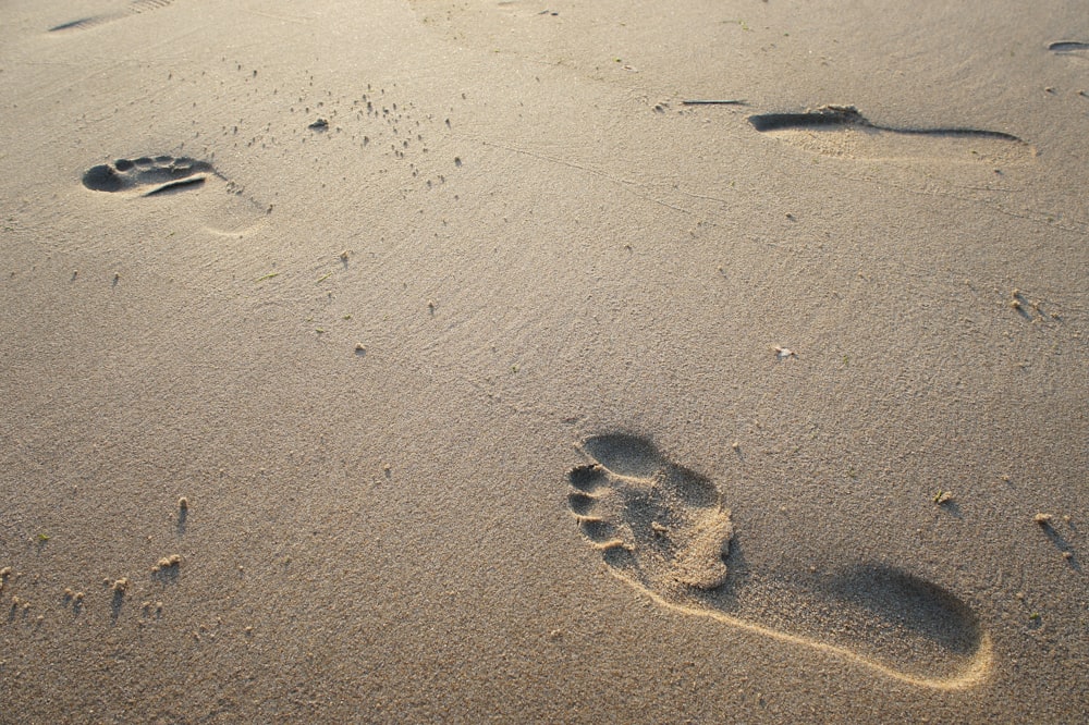 footprints on brown sand