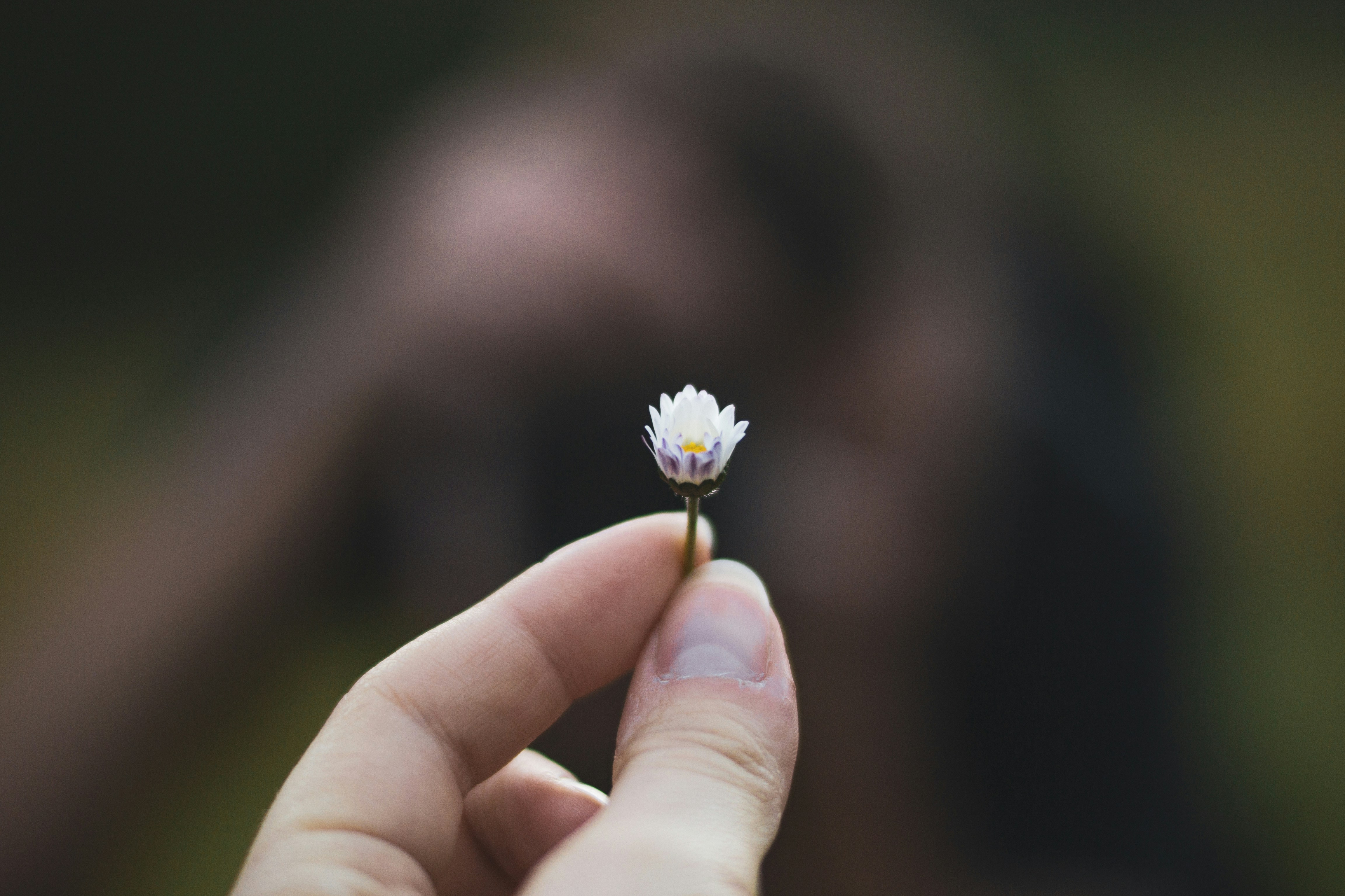 Photo by tiny_shelter