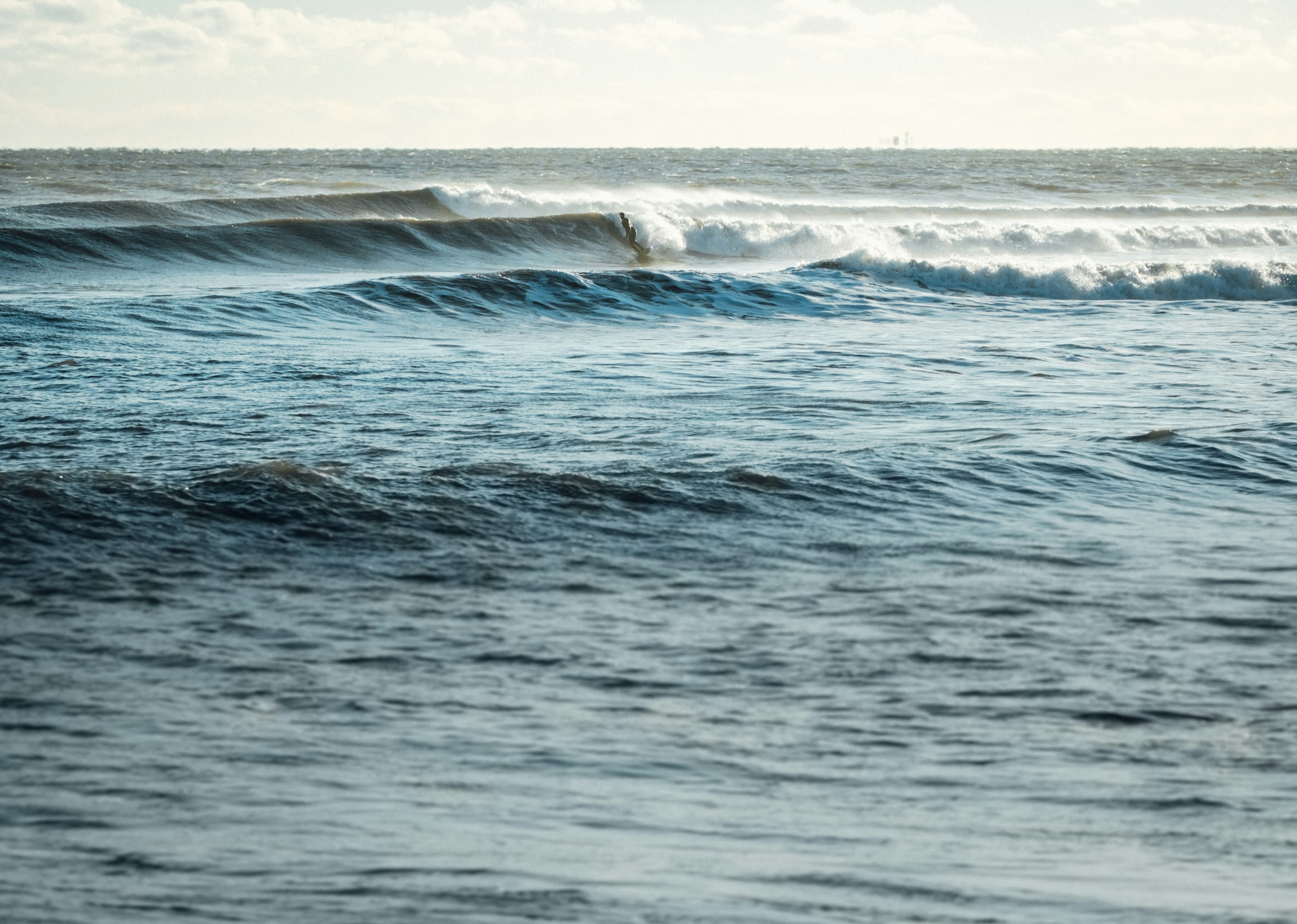 Photo by timberfoster