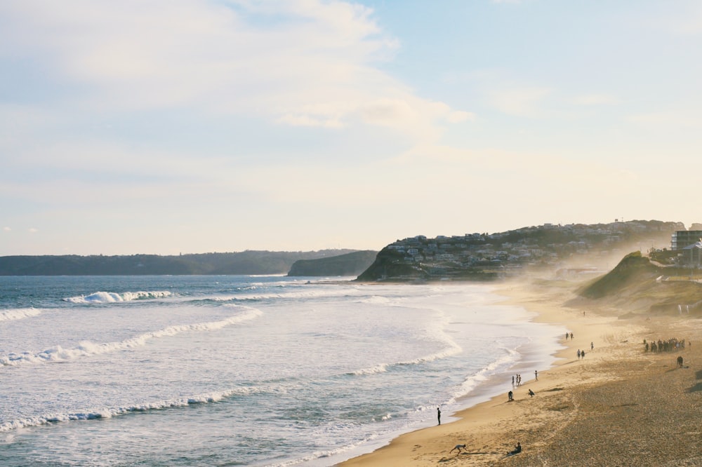 people on shore