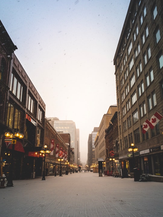 view photography of city high rise buildings in Ottawa Canada