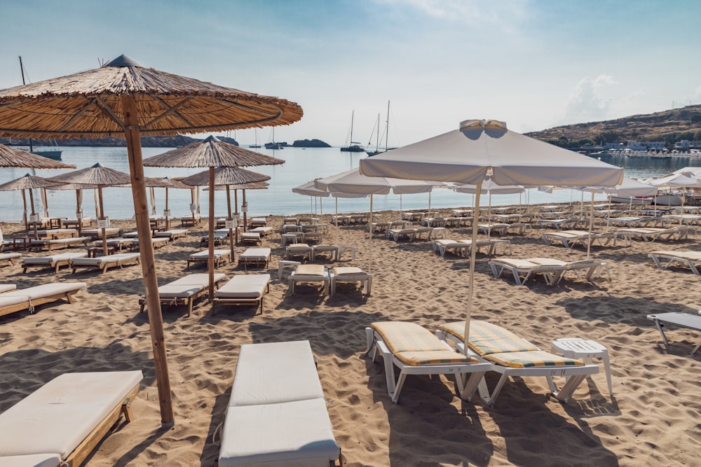 empty loungers on beach during daytime