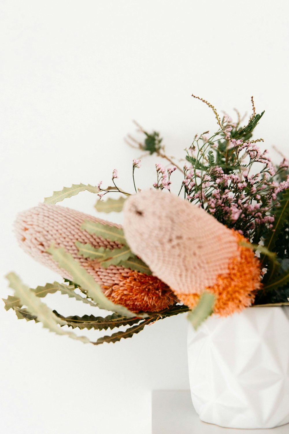 shallow focus photography of green-leafed plant with pink flowers in white pot