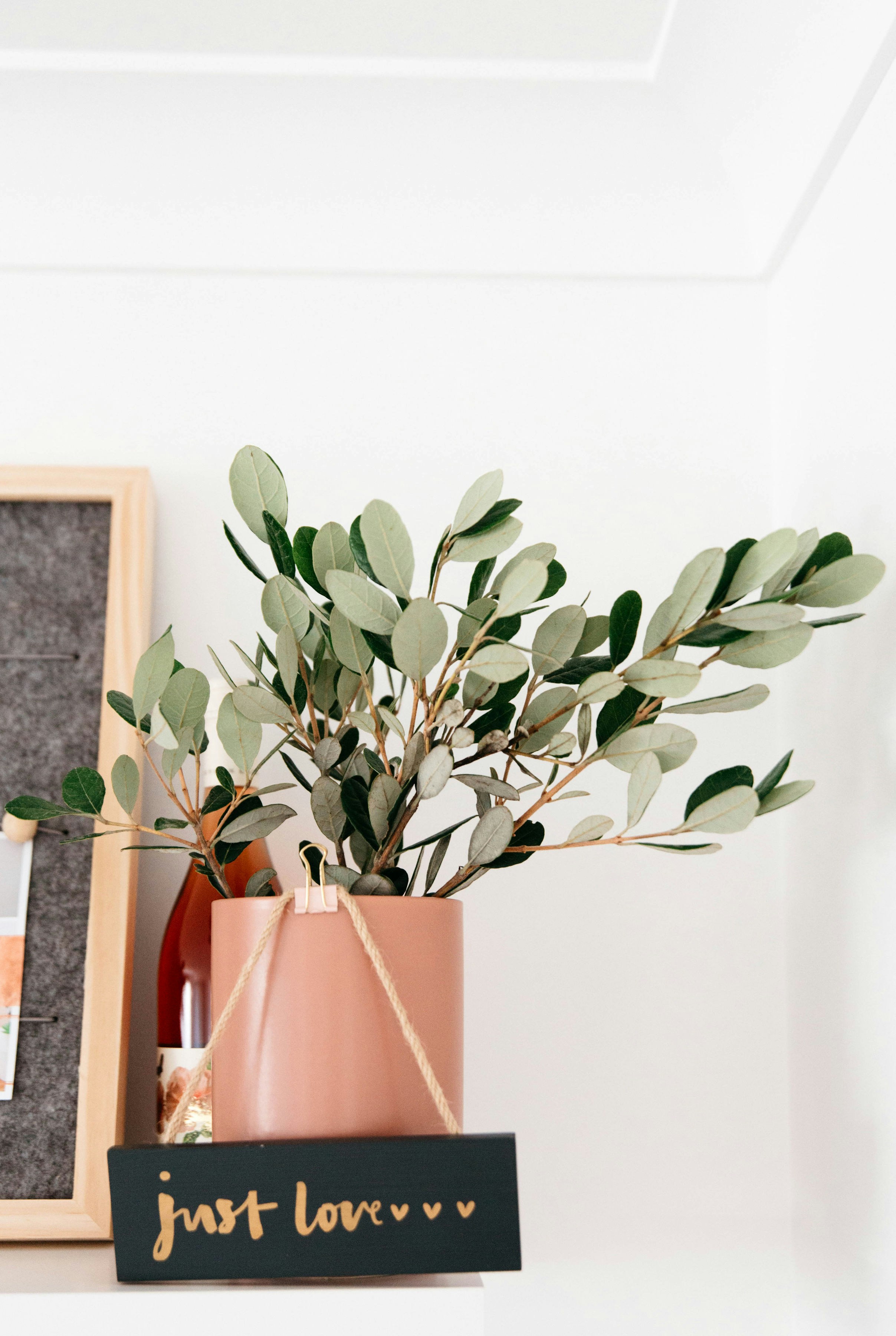 Photo by tarahegerty