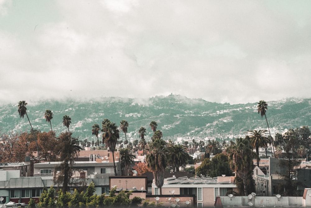 green trees near buildings