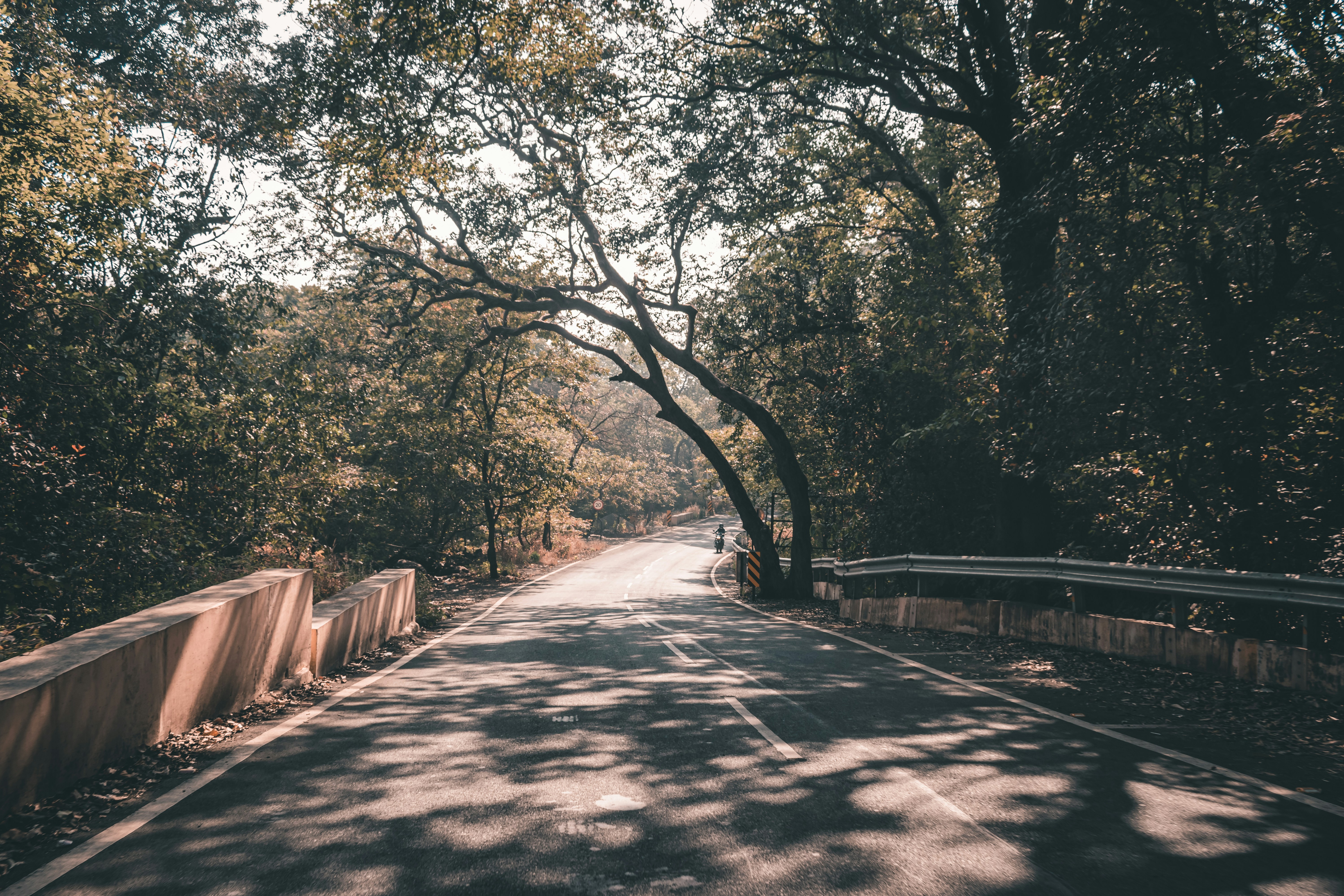 Photo by adityachache