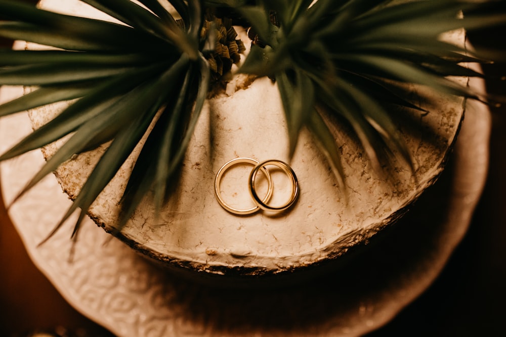 two gold-colored rings