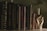 A collection of books neatly arranged on a shelf. The titles visible include 'Tools of Titans' and 'The Consciousness Medicine'. Alongside the books is a decorative golden hand sculpture with the middle finger raised.
