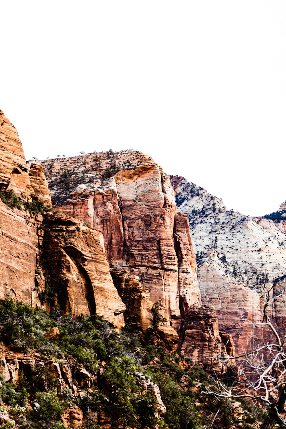 brown rock formation