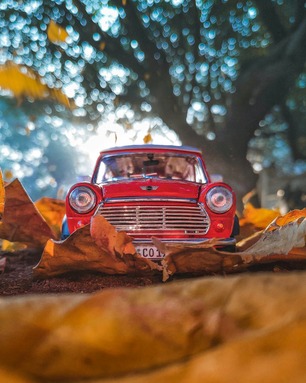 red vehicle near tree