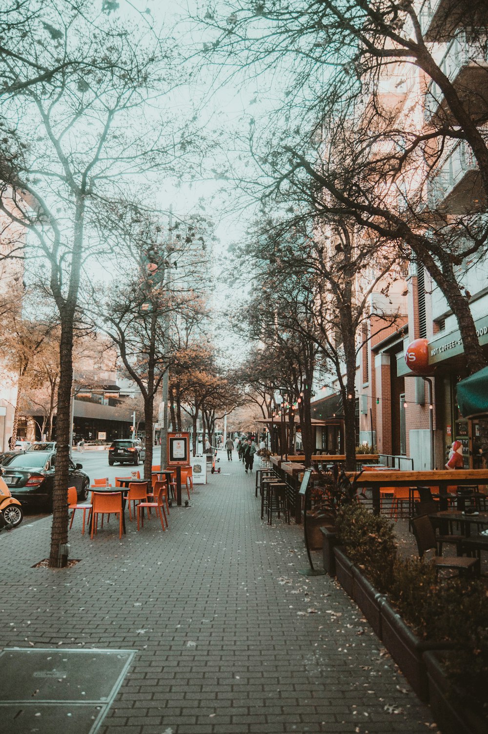 trees near road