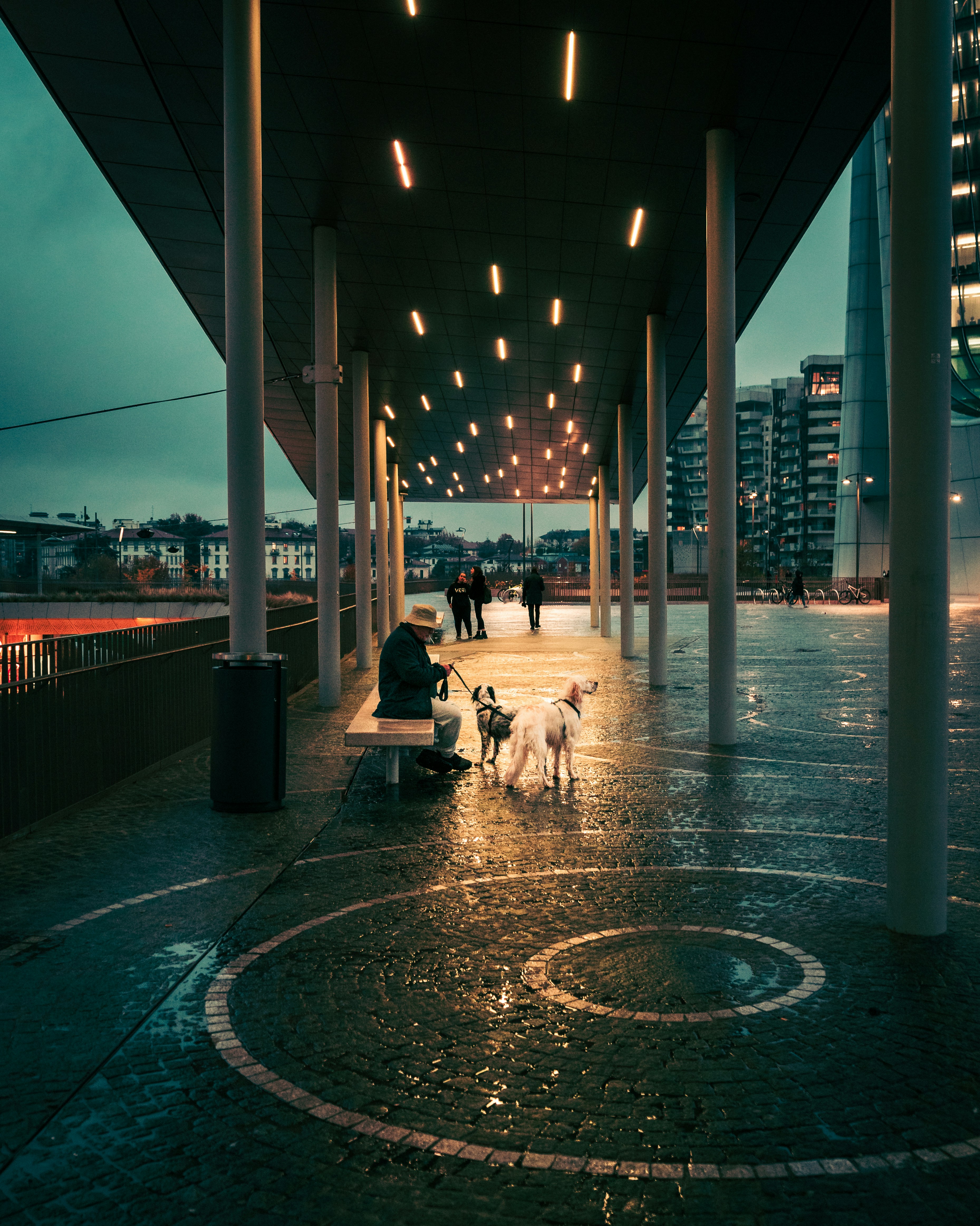 Photo by simonedaino95