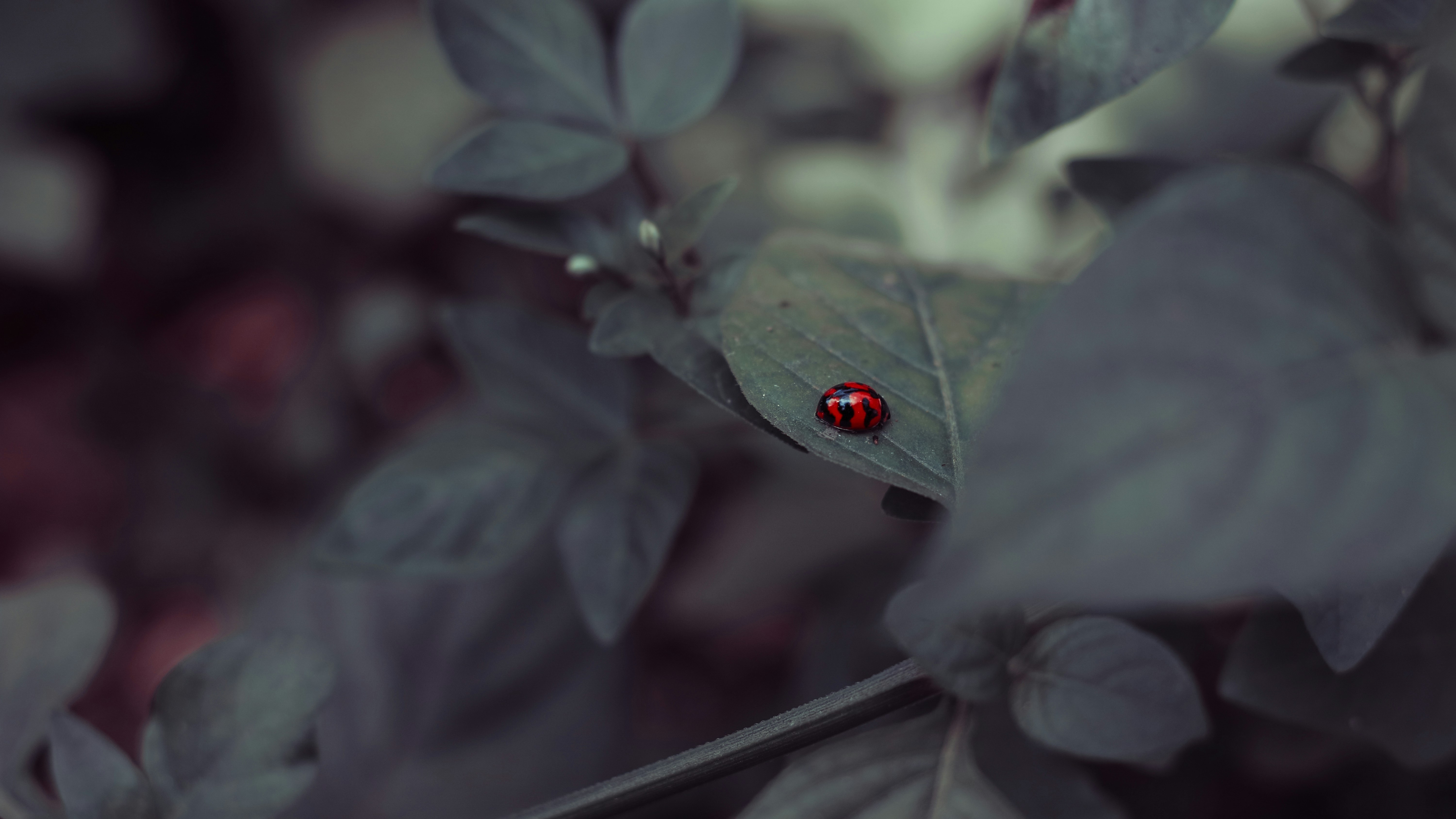 Photo by skyline_189