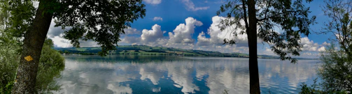 A wide shot of a calm lake reflecting a blue sky with gentle clouds, framed by lush greenery.