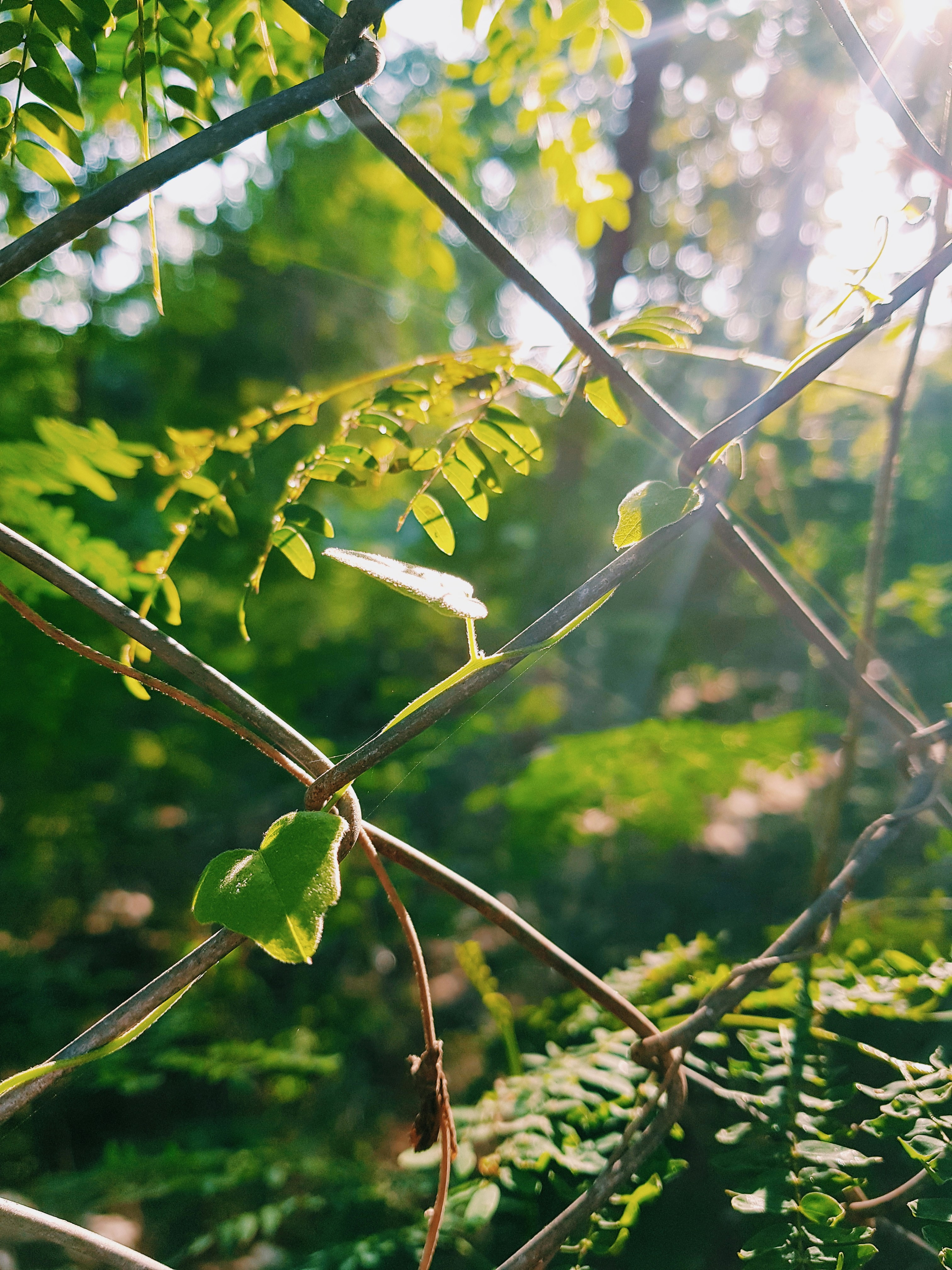 Photo by pineapplexpizza