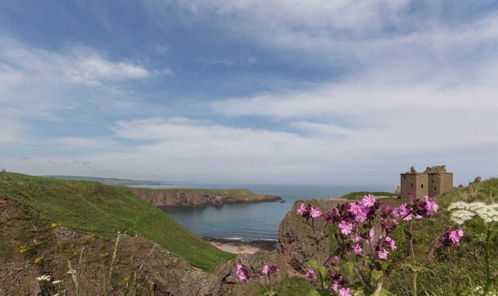 green sea cliff during daytime