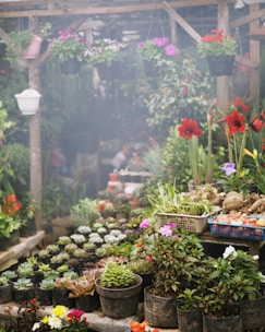 Gardens and community building with Justin Chase Ford