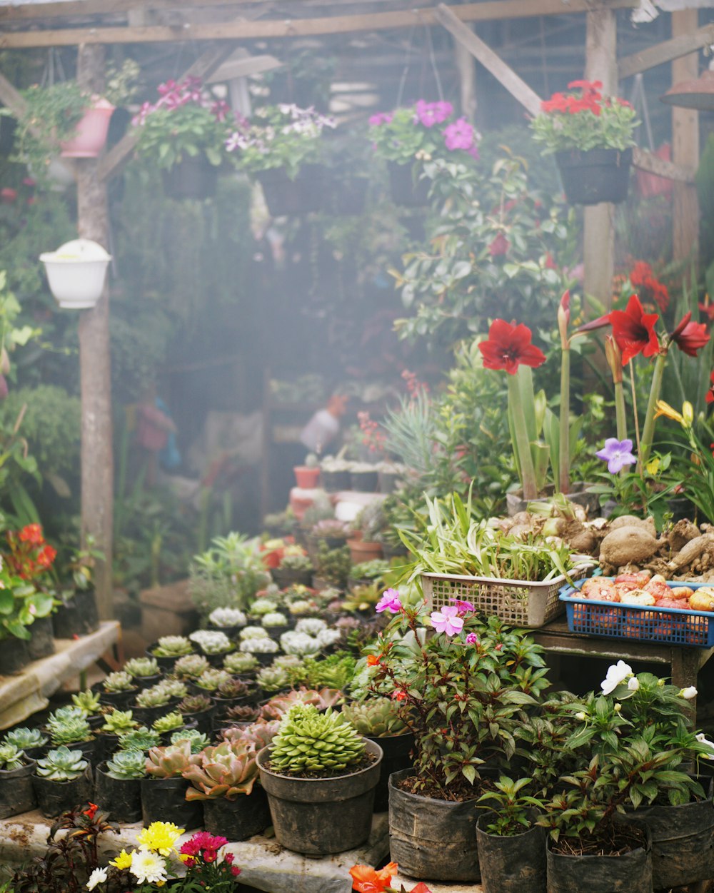 flowers and plants in gardne