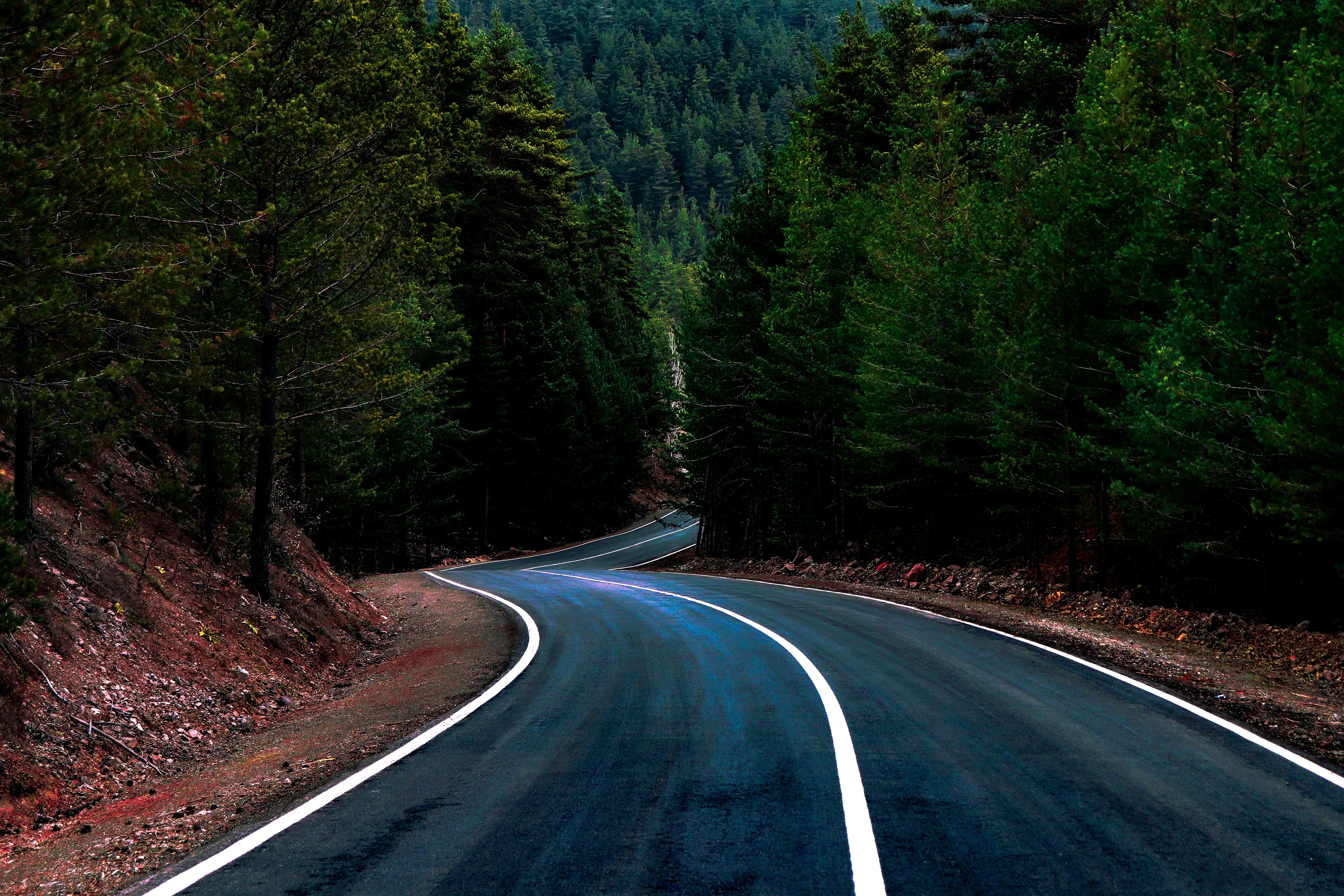 photo 1576320427257 640dcc4a0108?ixlib=rb 4.0