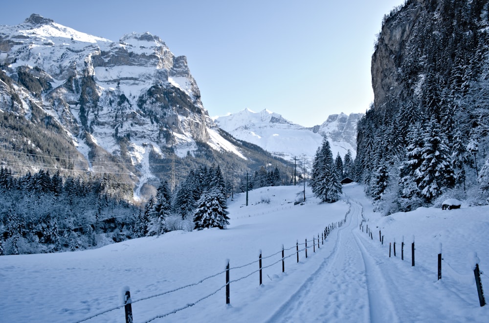 road beside snow-capped mountain