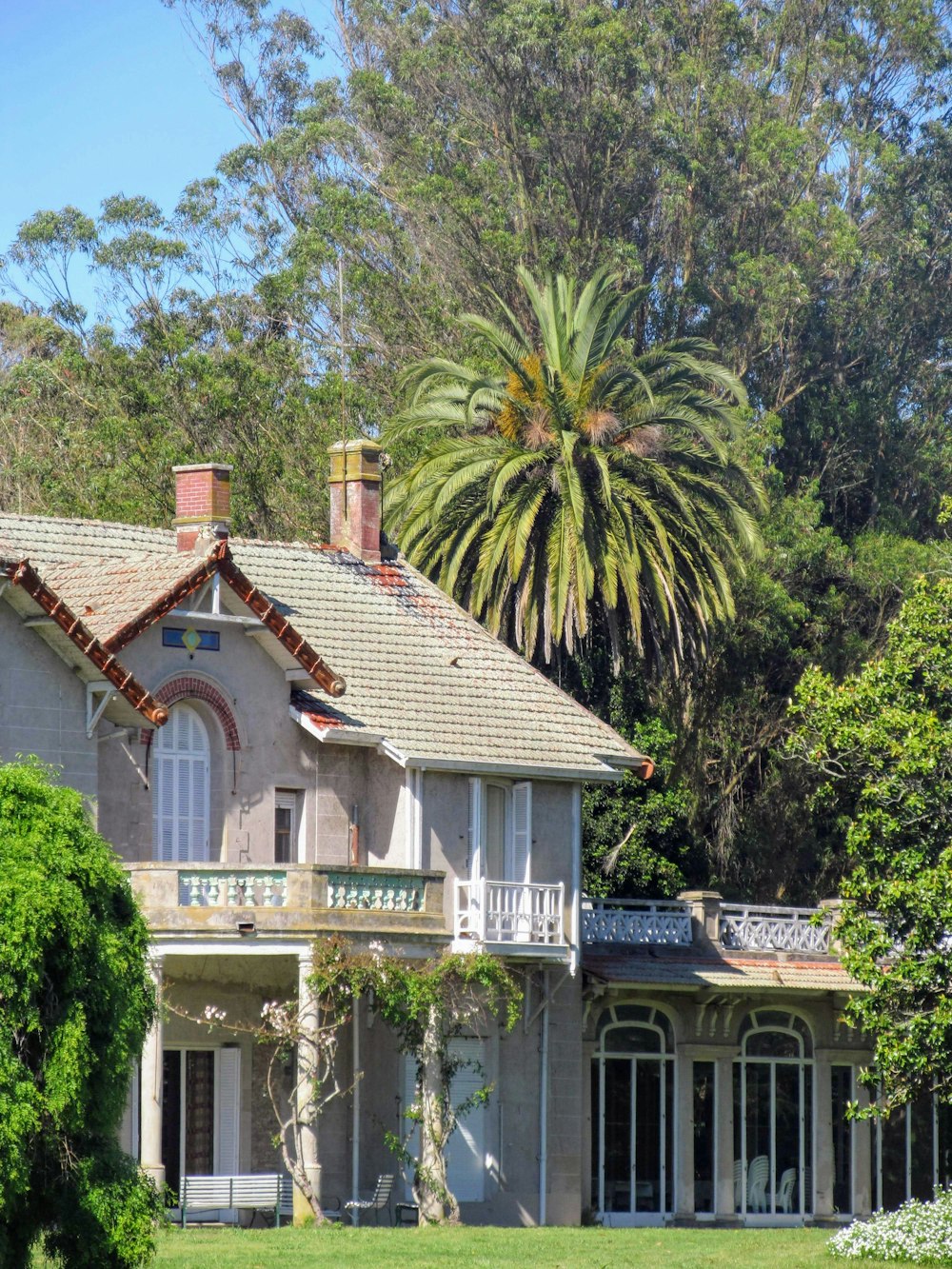 cabana na floresta