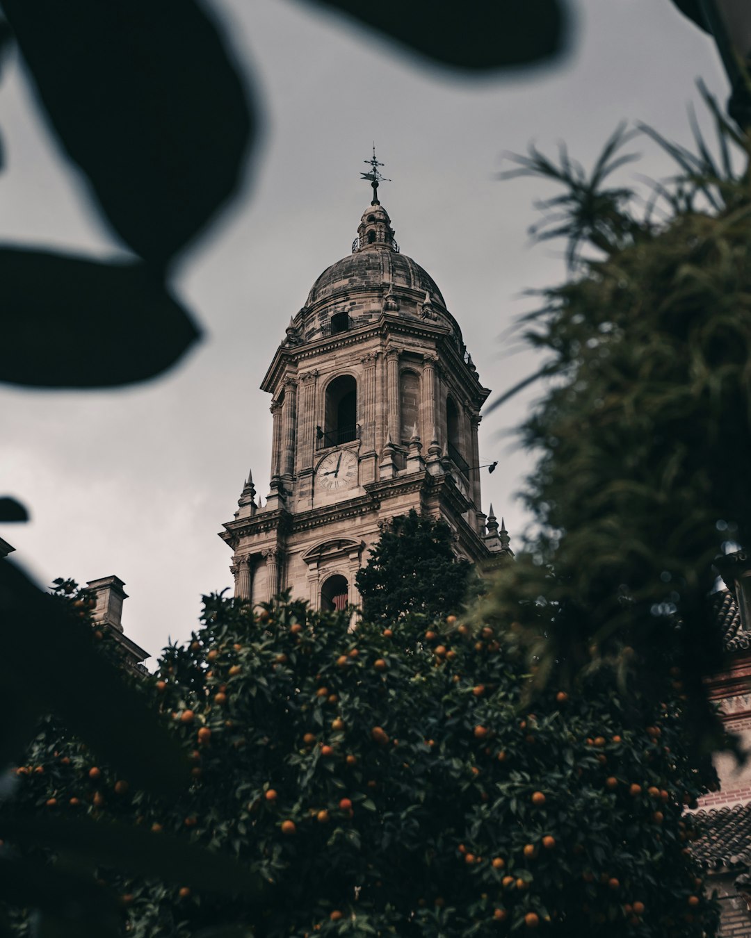 Landmark photo spot Catedral De Malaga Calle de la Cruz