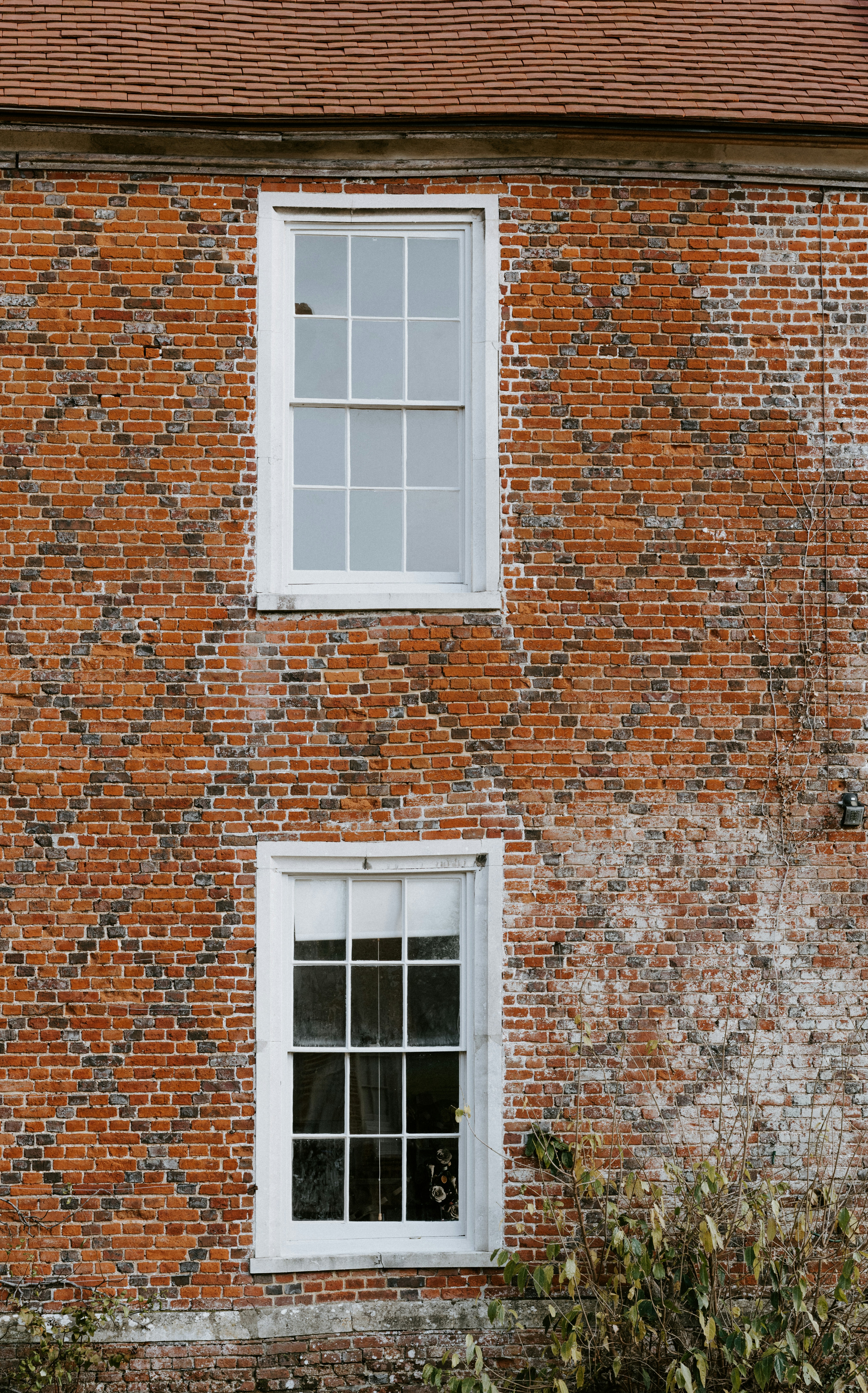 Photo by anniespratt